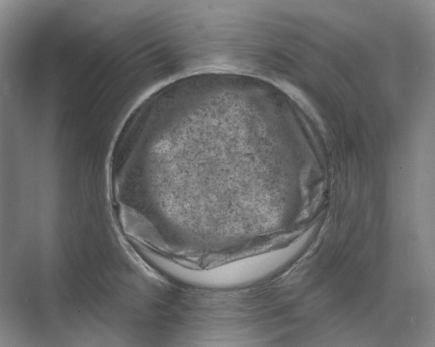 X0000074041238200609181944