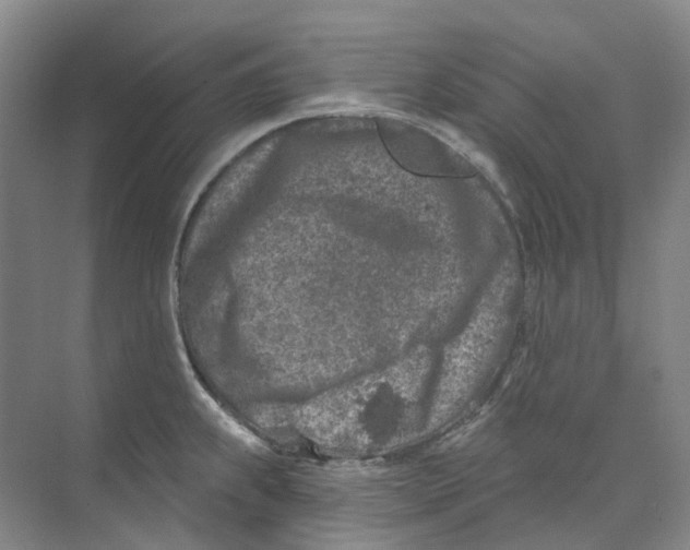 X0000074041239200609181944