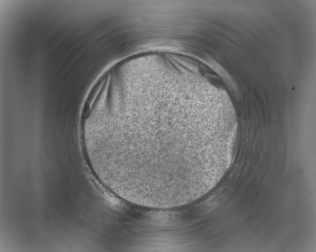 X0000074041240200609181944