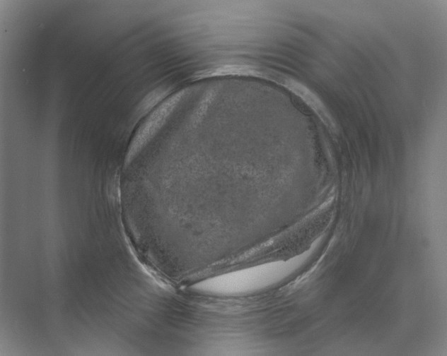 X0000074041241200609181944