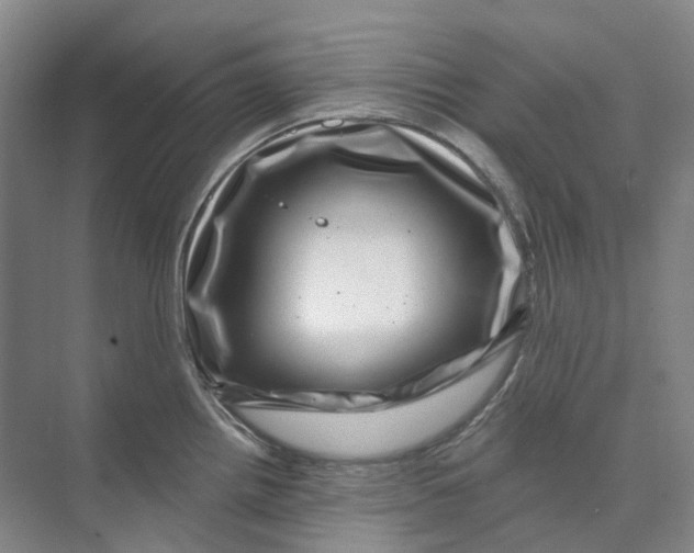 X0000074041242200609181944