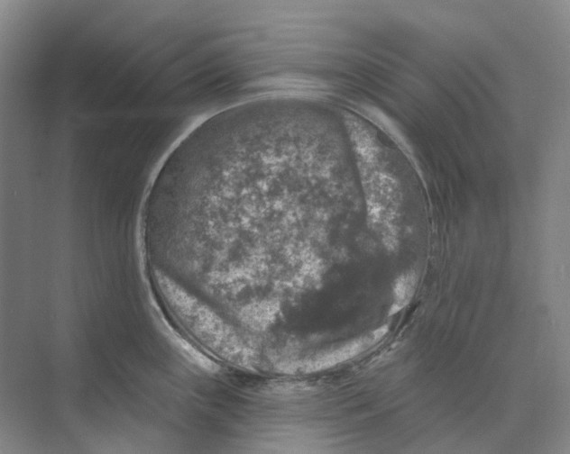 X0000074041243200609181944