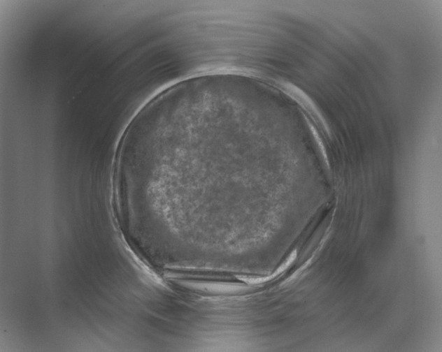 X0000074041244200609181944