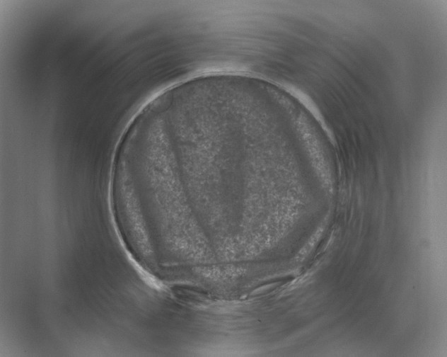 X0000074041245200609181944