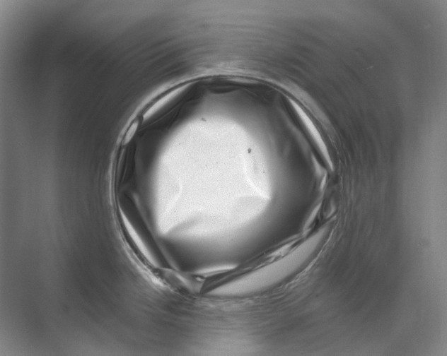 X0000074041246200609181944