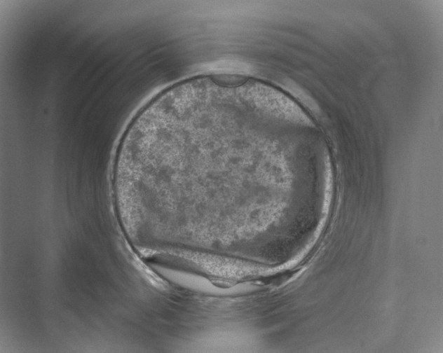 X0000074041248200609181944