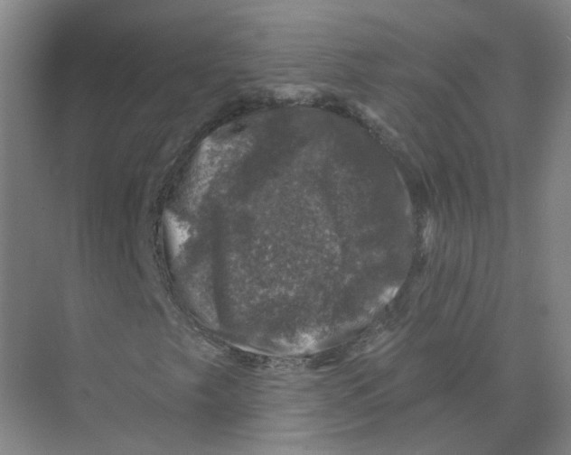 X0000074041249200609181943