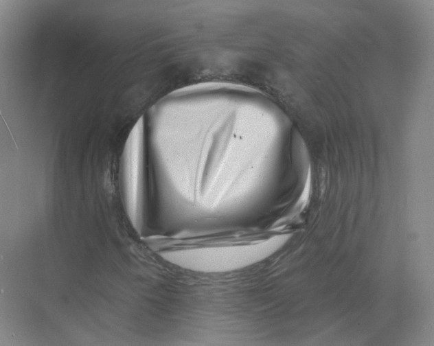 X0000074041250200609181943