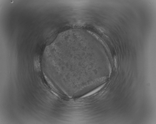 X0000074041252200609181943