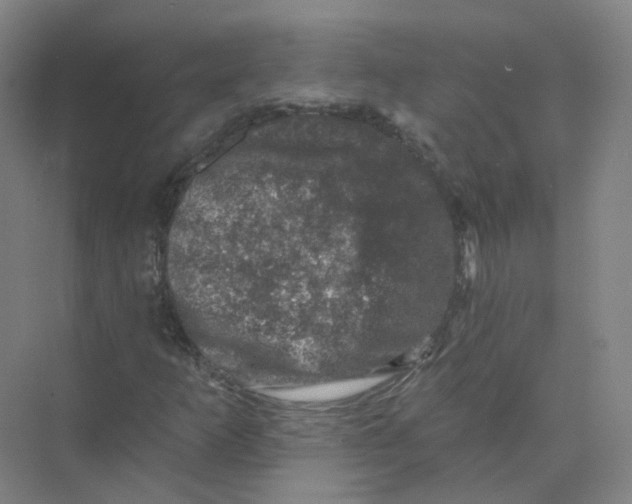 X0000074041253200609181943