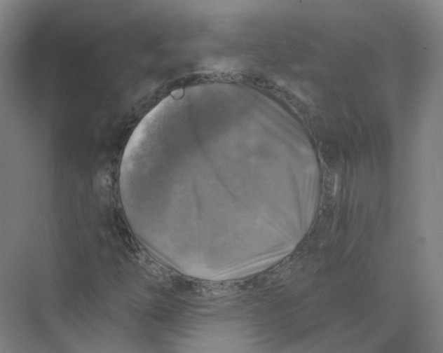 X0000074041254200609181943