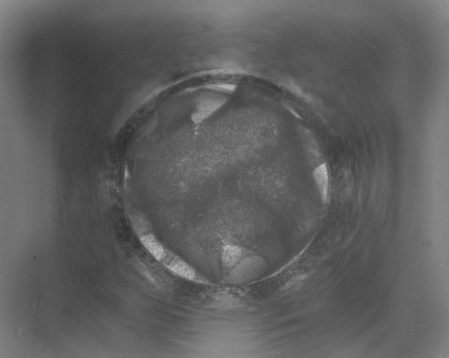 X0000074041255200609181943