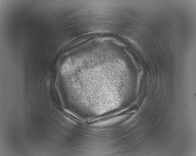 X0000074041257200609181943