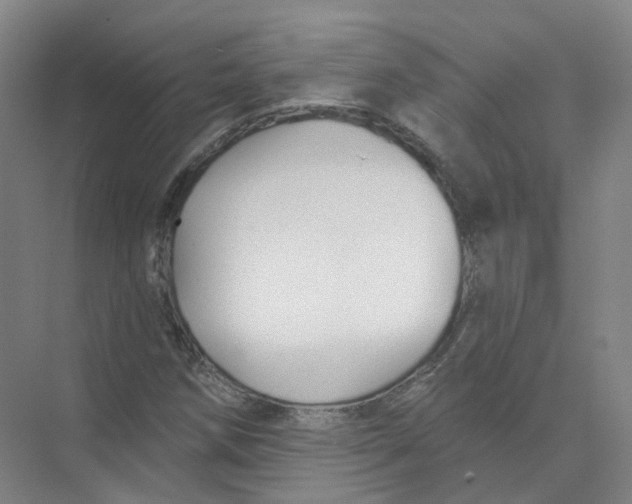 X0000074041258200609181943