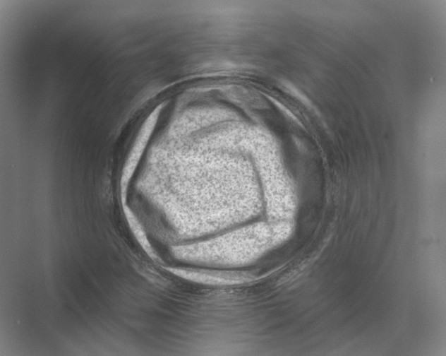 X0000074041259200609181943