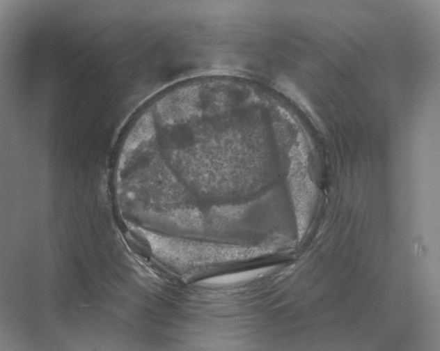 X0000074041260200609181943