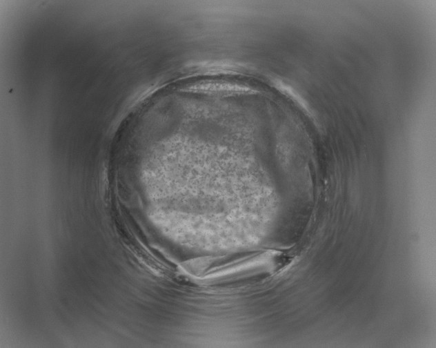 X0000074041261200609181943