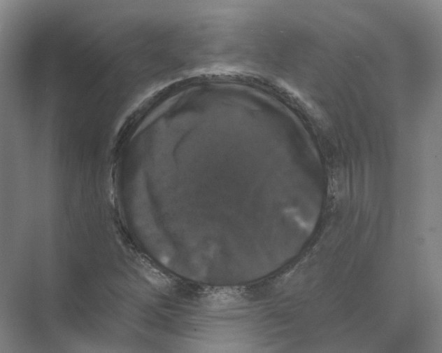 X0000074041262200609181943