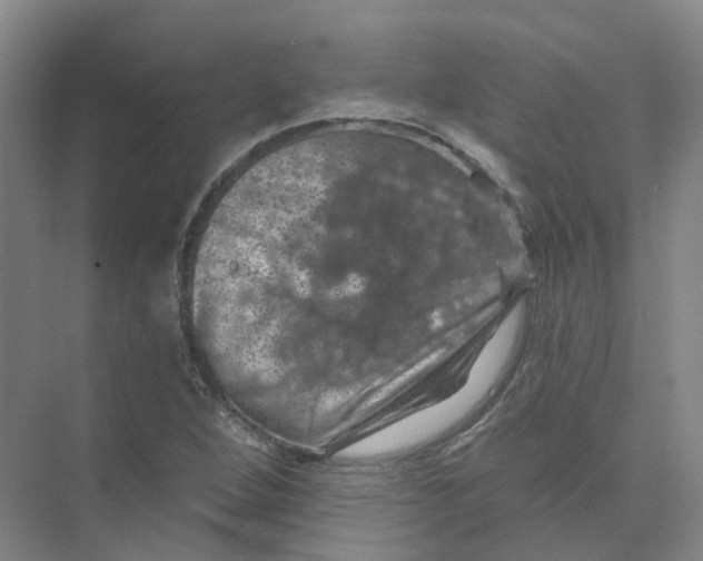 X0000074041264200609181943