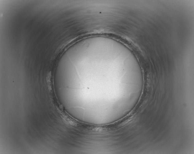 X0000074041265200609181943