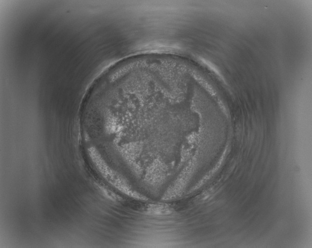 X0000074041267200609181943