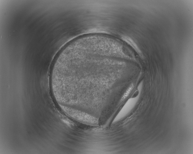 X0000074041268200609181943