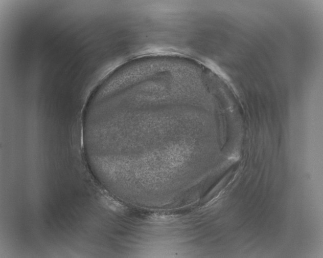 X0000074041269200609181943