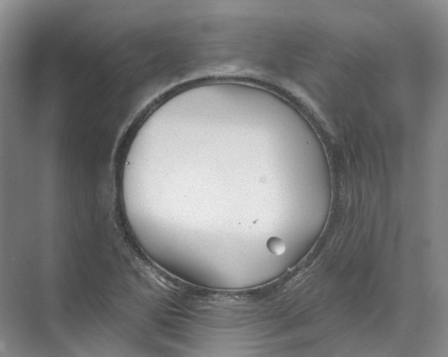 X0000074041270200609181943