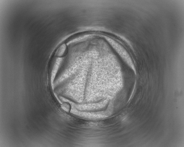 X0000074041271200609181943