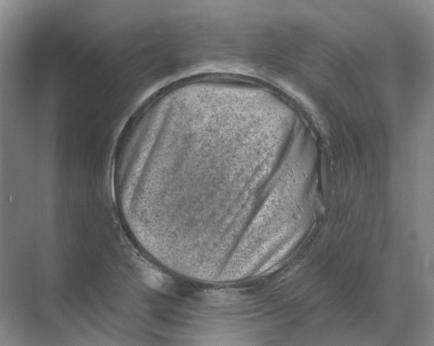 X0000074041272200609181943