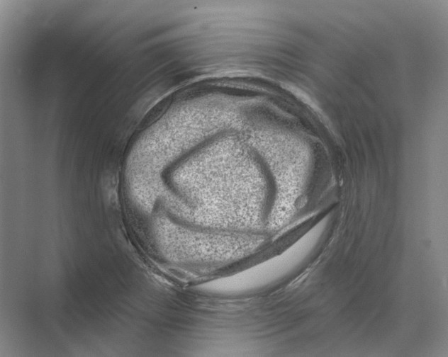 X0000074041273200609181943