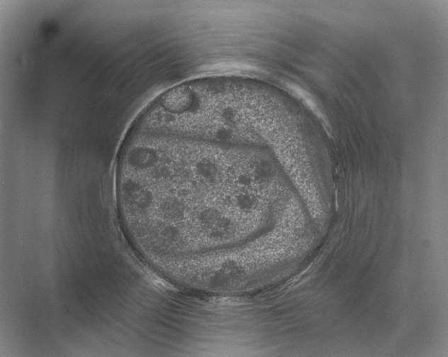 X0000074041275200609181943