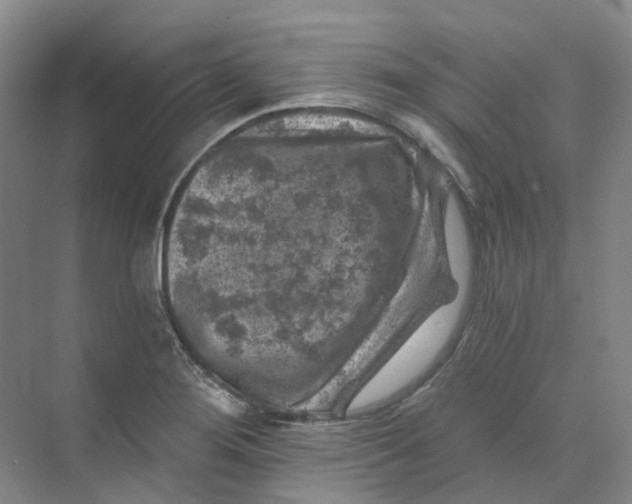 X0000074041276200609181943