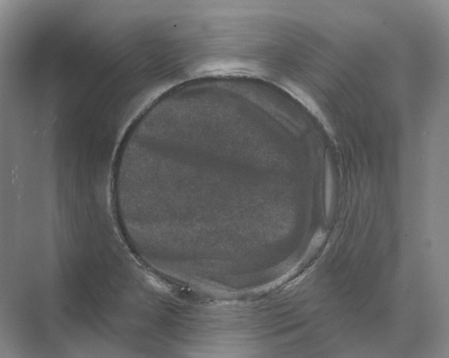 X0000074041277200609181943