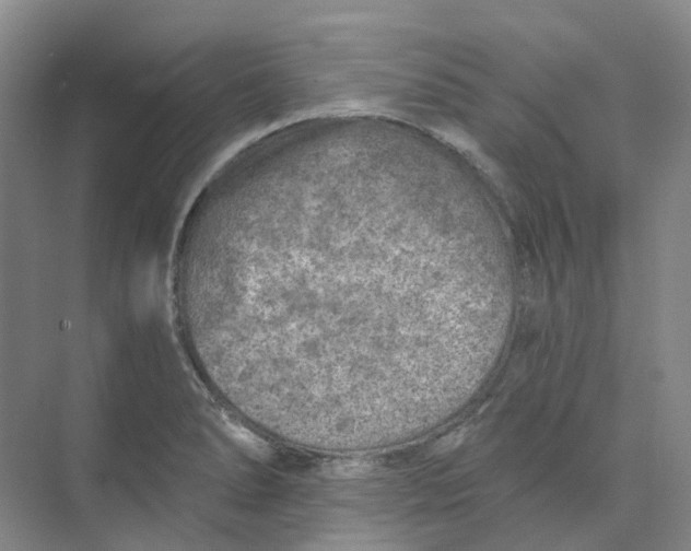 X0000074041278200609181943