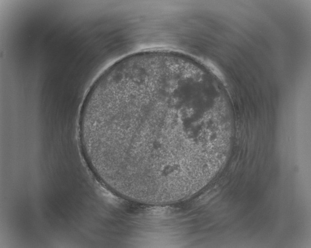 X0000074041279200609181943