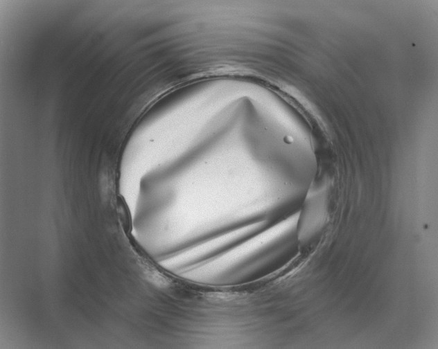 X0000074041281200609181943