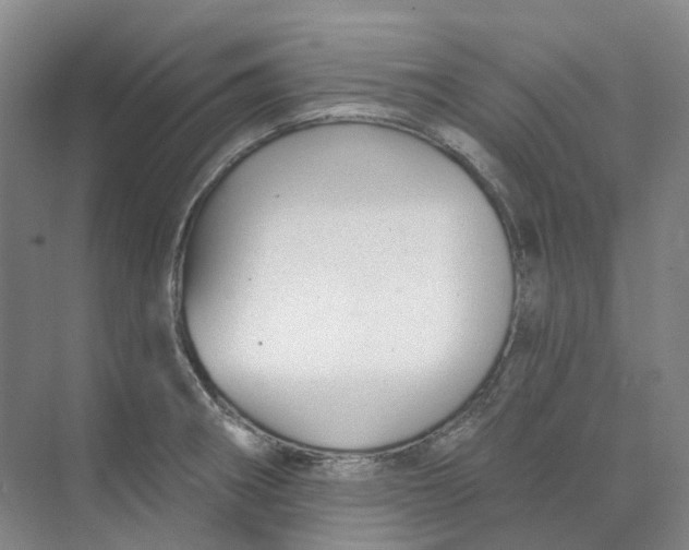 X0000074041282200609181943