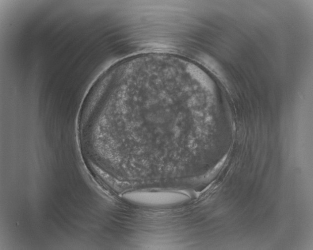 X0000074041283200609181943