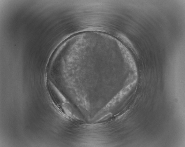 X0000074041284200609181943