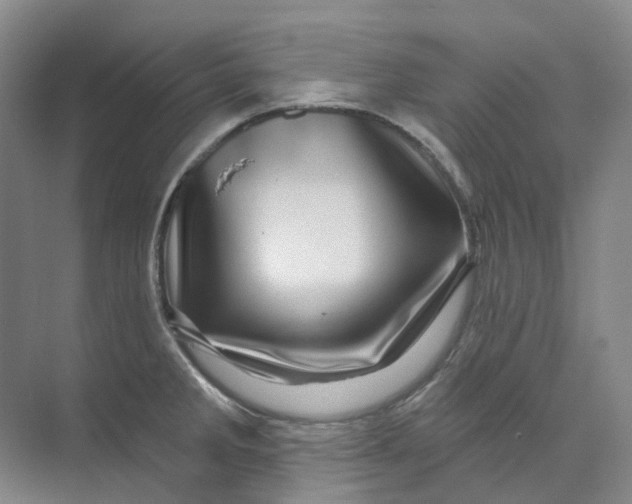 X0000074041285200609181943