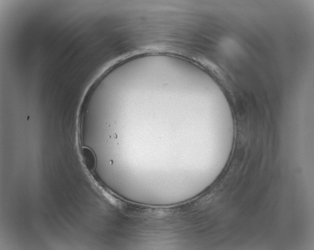 X0000074041286200609181943