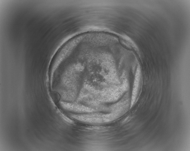 X0000074041287200609181943