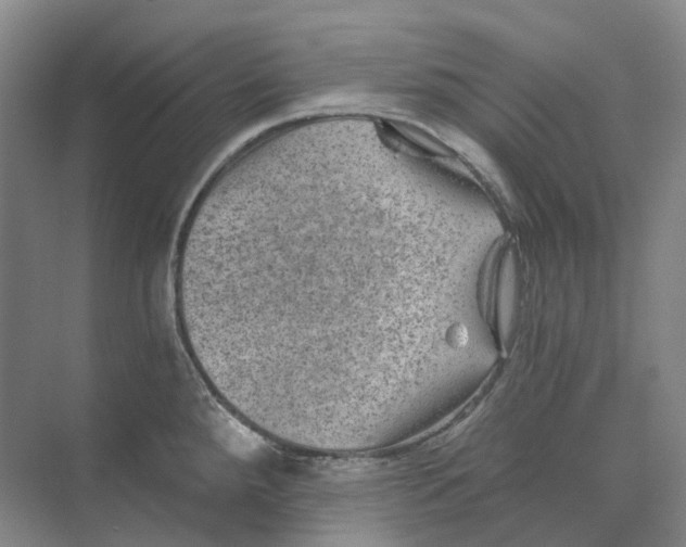 X0000074041288200609181943