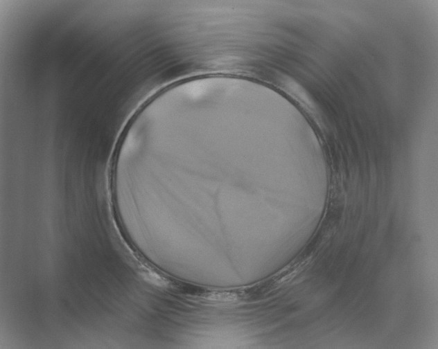 X0000074041291200609181943