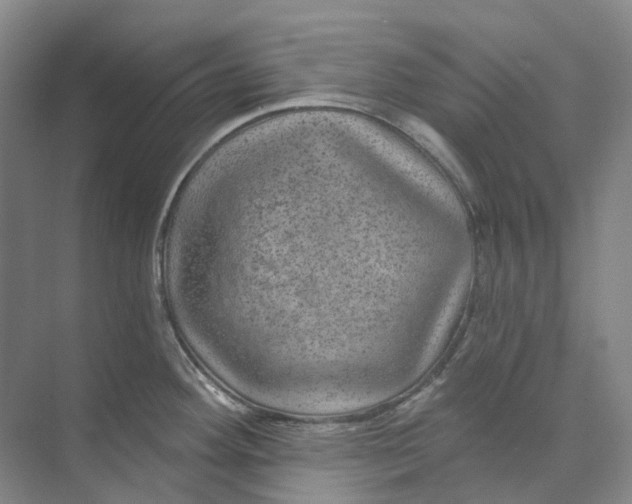 X0000074041292200609181943