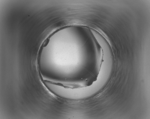 X0000074041293200609181943