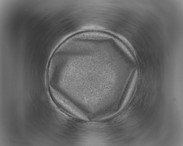 X0000074041295200609181943