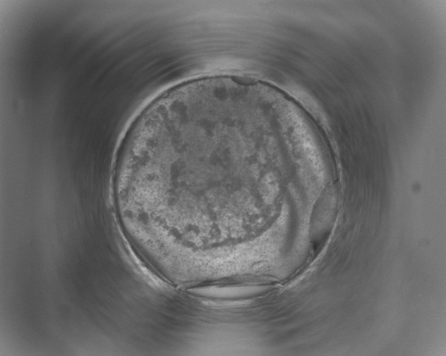 X0000074041296200609181943