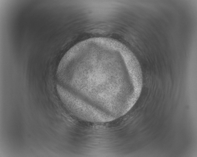 X0000074041297200609181942